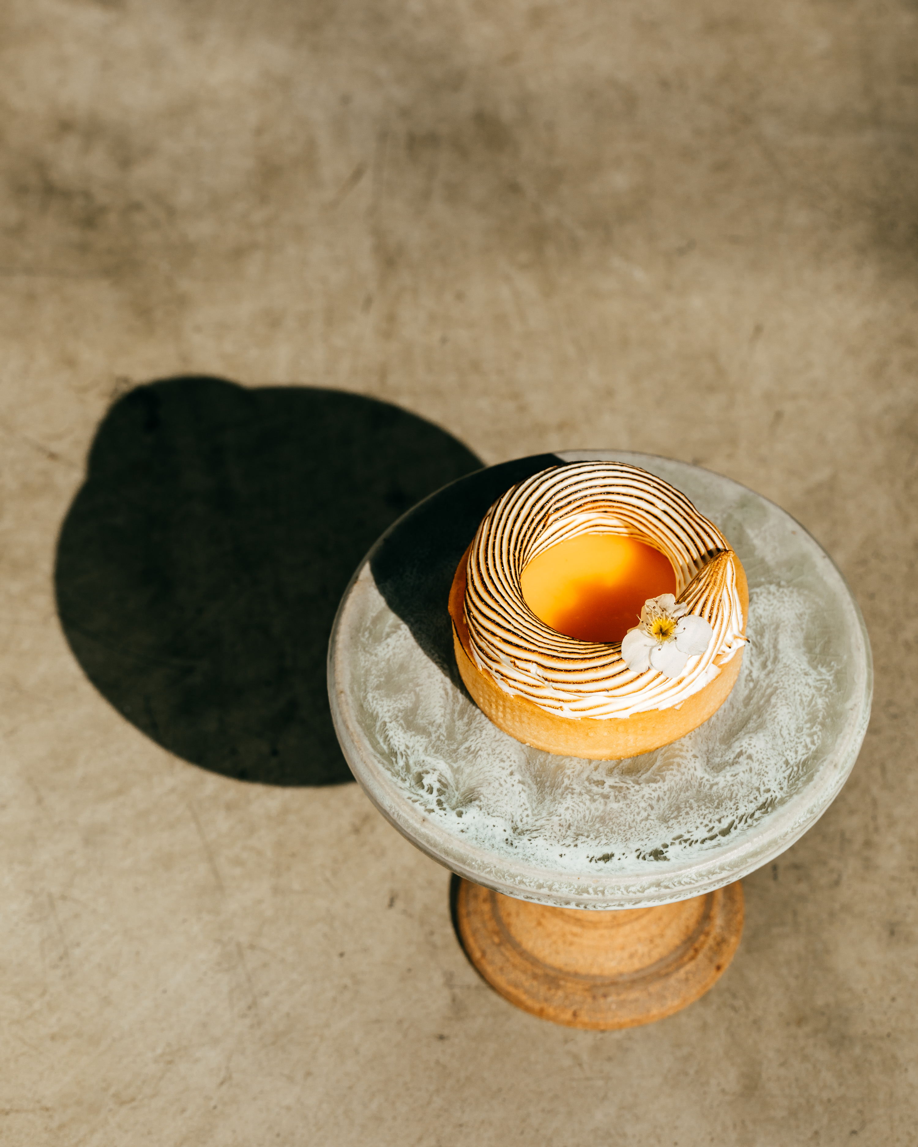 photoemmakmorris-6609-2