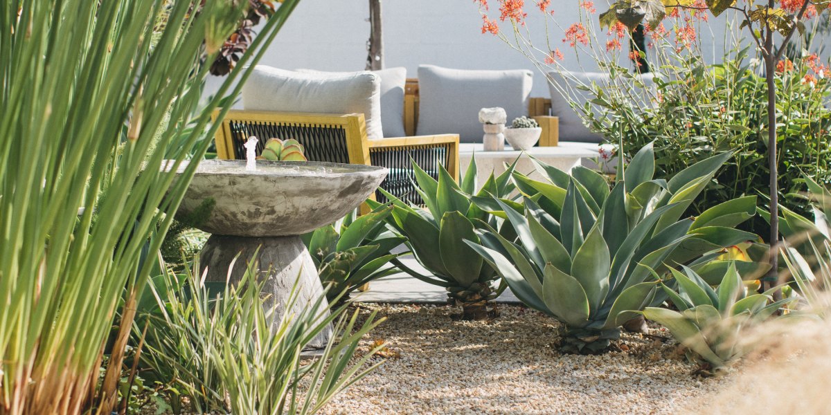 How to Design a Photogenic Garden, According to a Pro Photographer