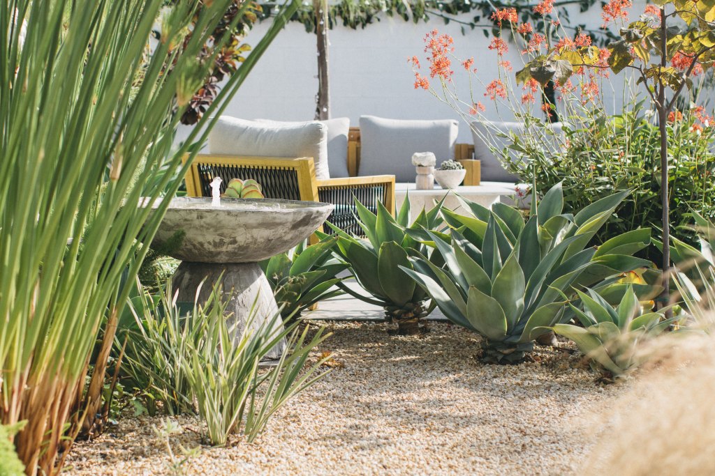 How to Design a Photogenic Garden, According to a Pro Photographer