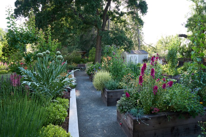 Pine House Edible Garden