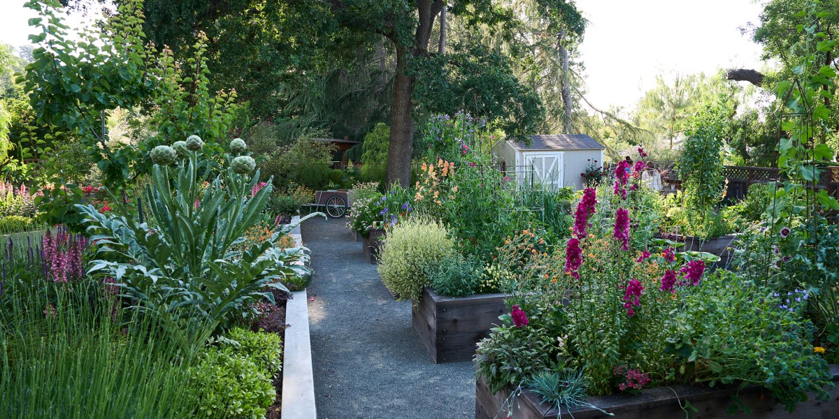 Pine House Edible Garden