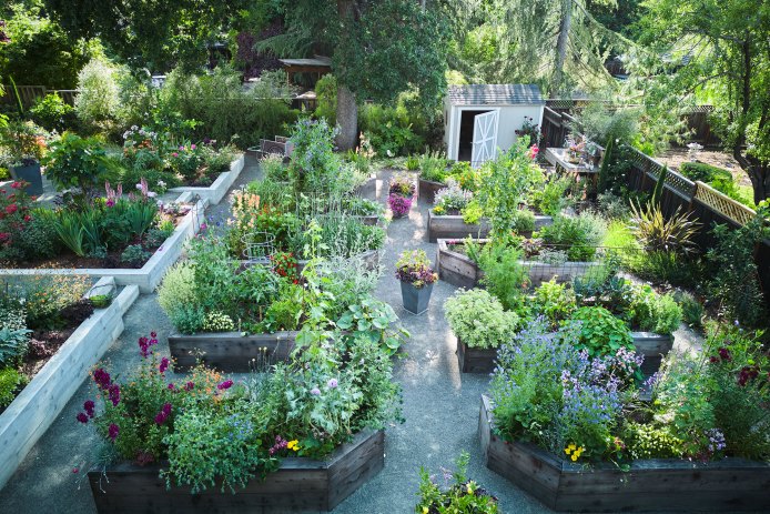 Pine House Edible Gardens