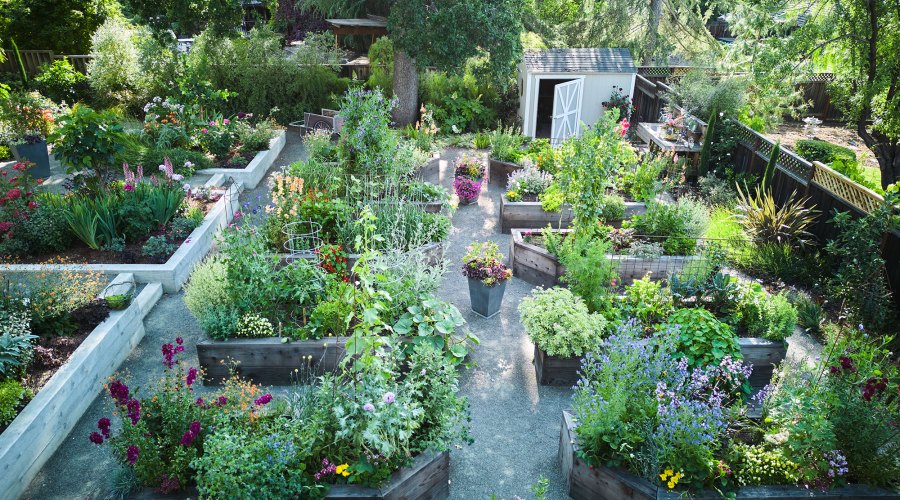 This $0 Hack Will Fix Your Raised Beds