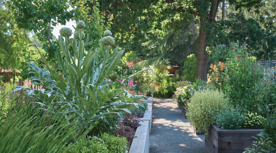 Do These Things Now to Have a Gorgeous Garden in Spring