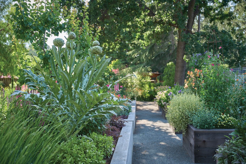 Do These Things Now to Have a Gorgeous Garden in Spring