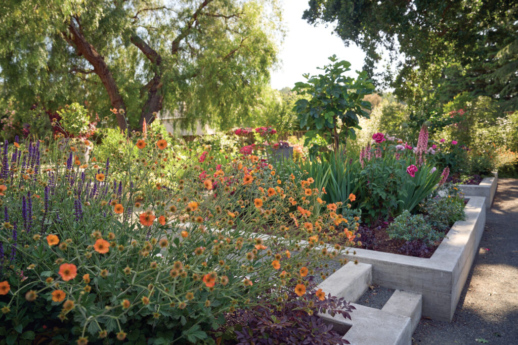 Raised Floral Beds