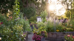 Raised Beds Pine House Edible Gardens in Walnut Creek