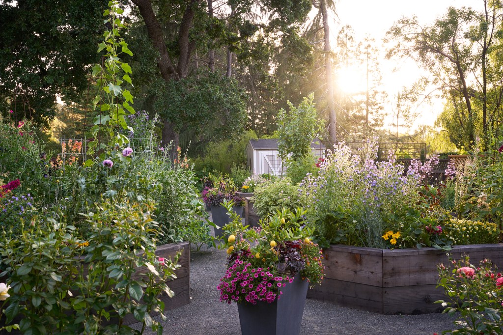 Spring Is Go-Time for Gardening—Don’t Forget These Garden Tasks to Set It up for Success
