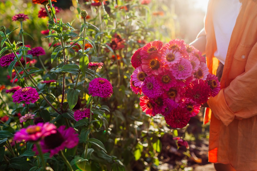 8 Things You Need to Do to Help Your Garden Beat the Summer Heat