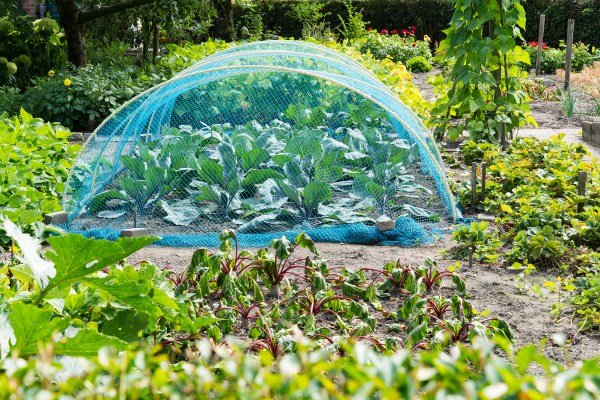 Winter Is Actually the Most Important Time for Your Garden. Here’s Your Seasonal Checklist.