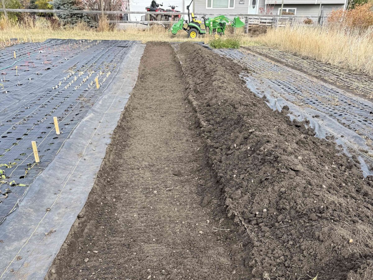 Flower Hat Farm Dirt