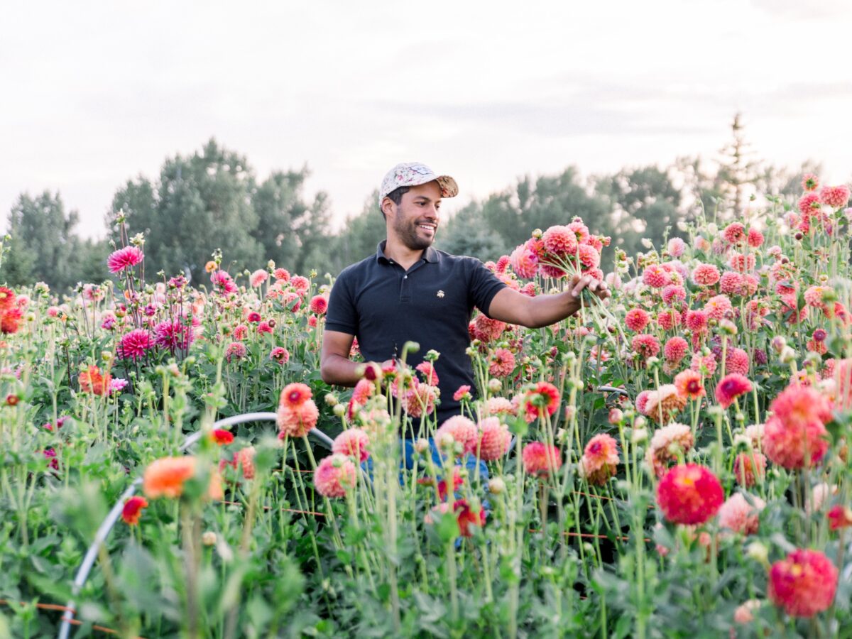 Julio Freitas with Dahlias