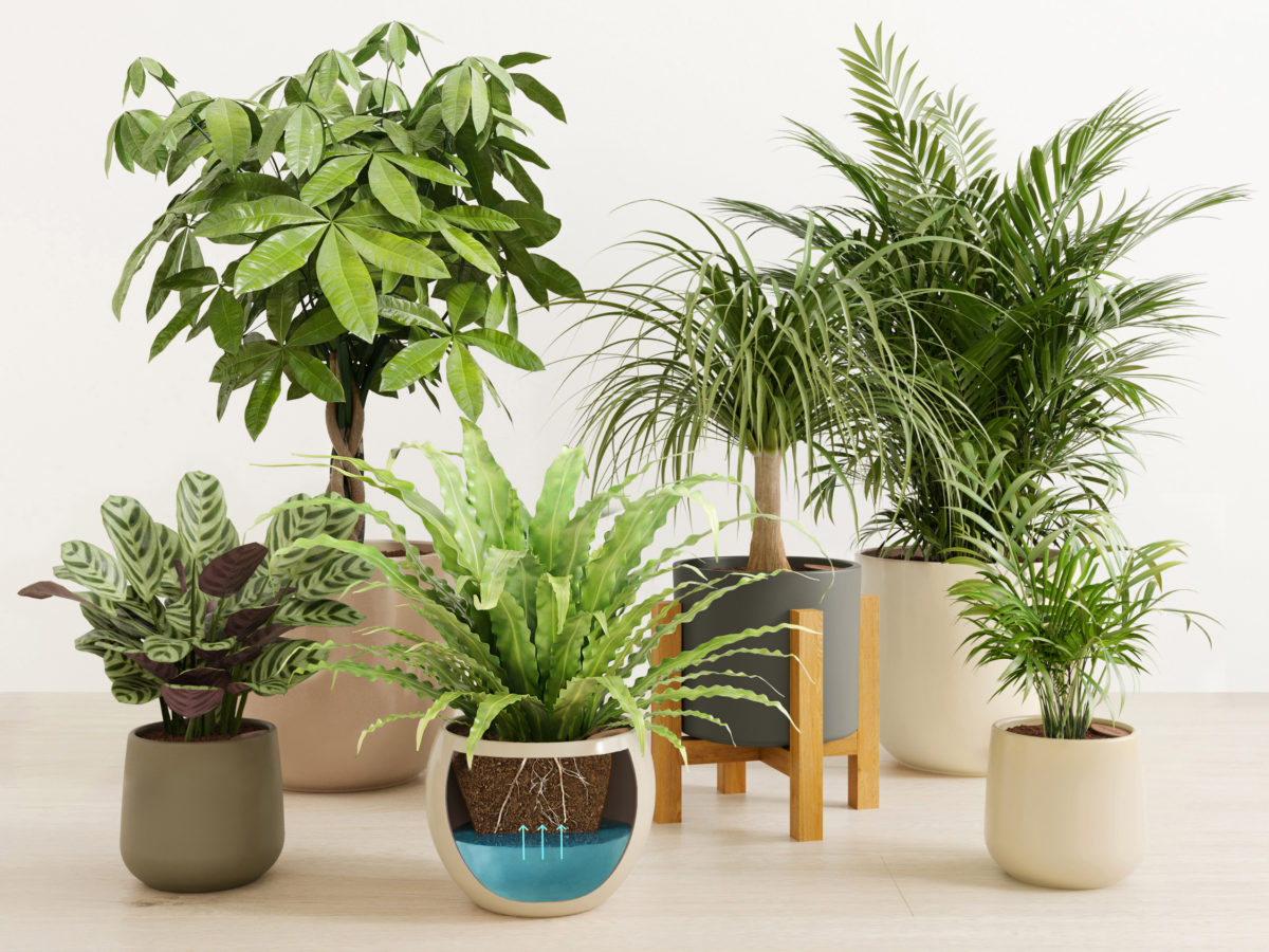 Easyplant Pot Cross Section