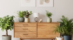 Easyplant Pots on a Console