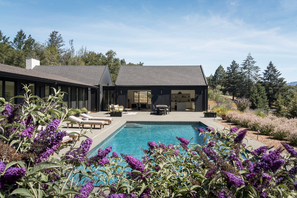 After a Devastating Wildfire, This Sonoma Rebuild Was Inspired by the Trees