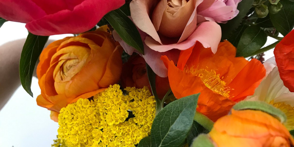 Pride Rainbow Bouquet Coy & Co Portland