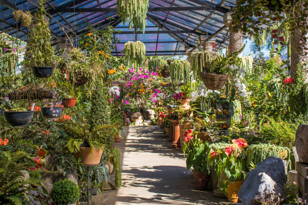 Jardin Botanico Vallarta