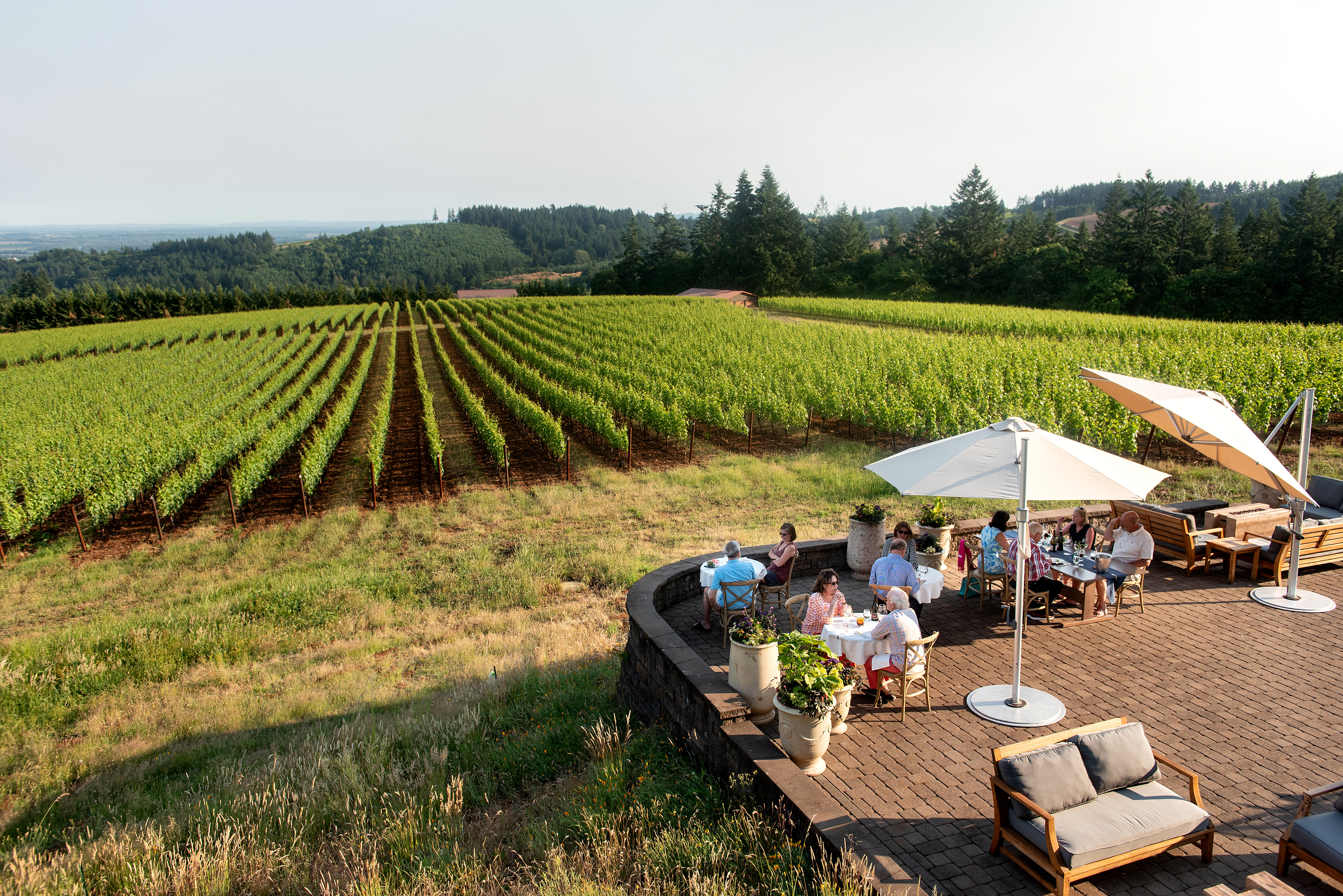 dinner-al-fresco