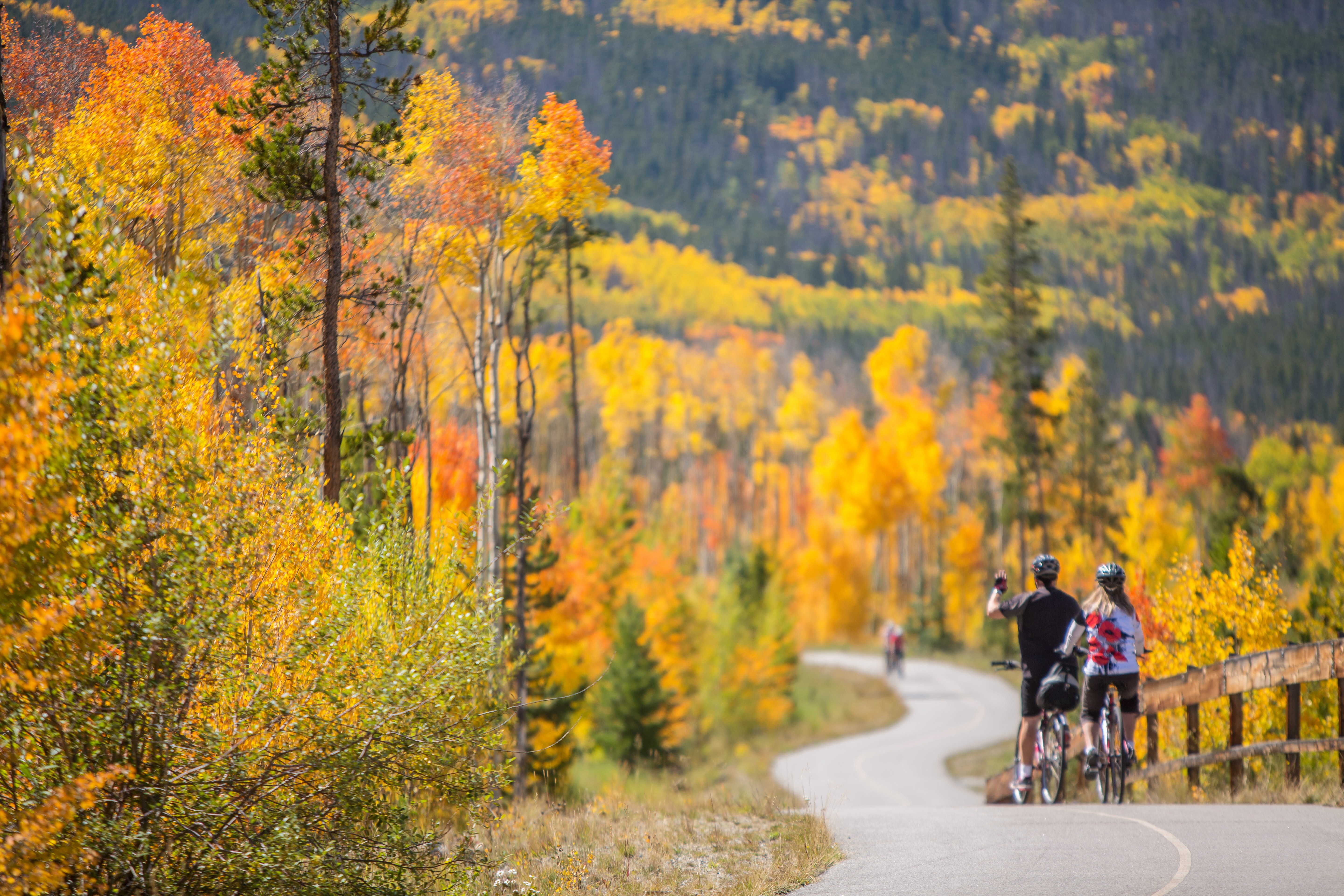biking-along-the-rec-path
