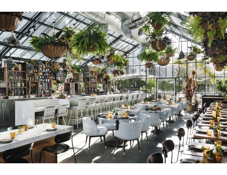 openaire-by-chef-josiah-citrin