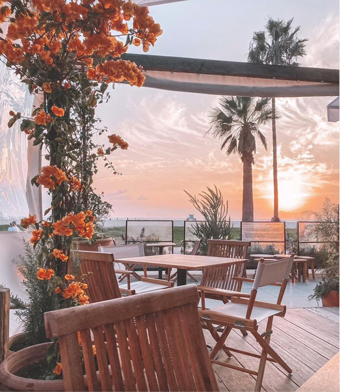 outdoor-dining-at-fig-tree