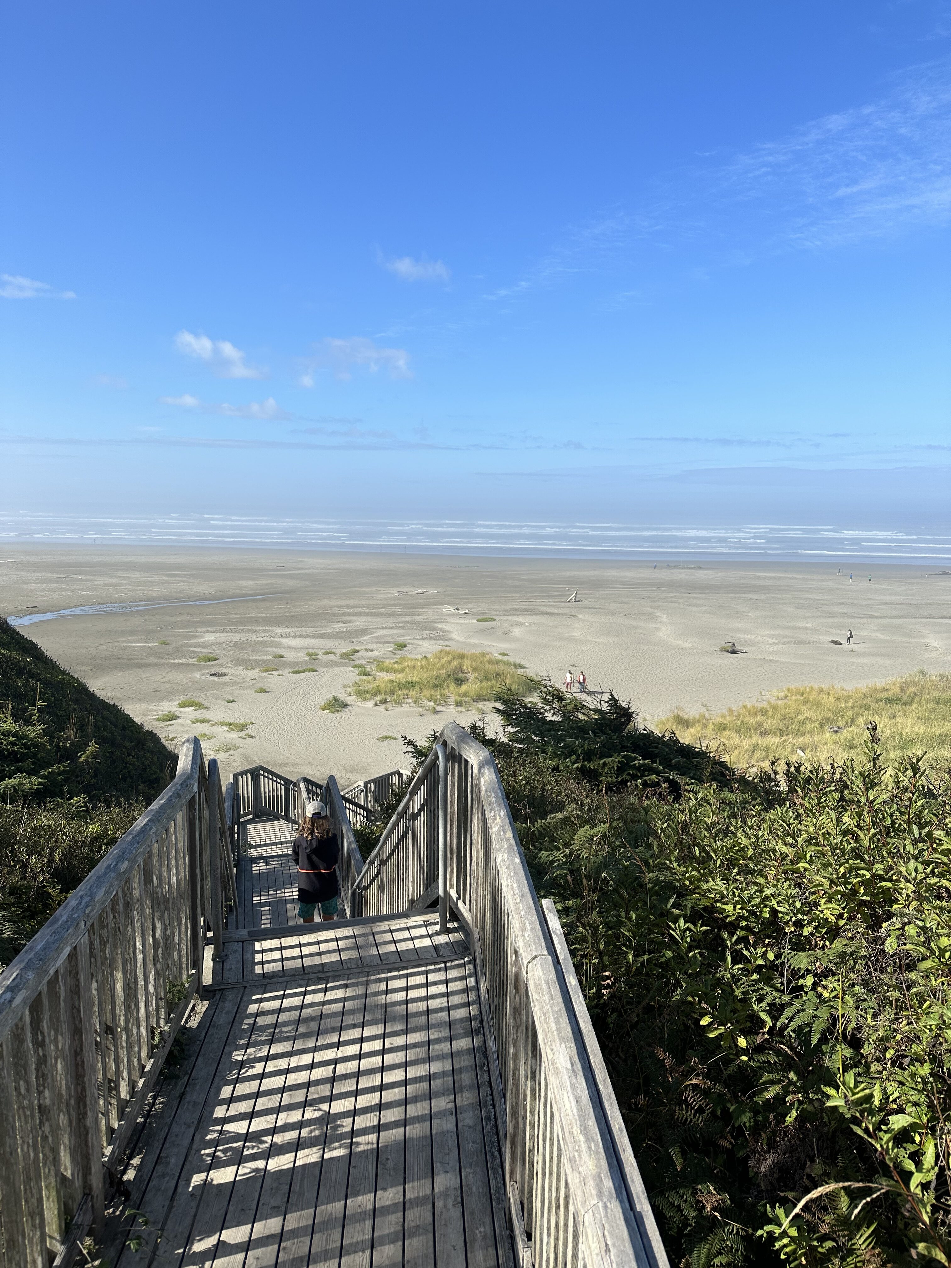 the-beach-at-seabrook-wa