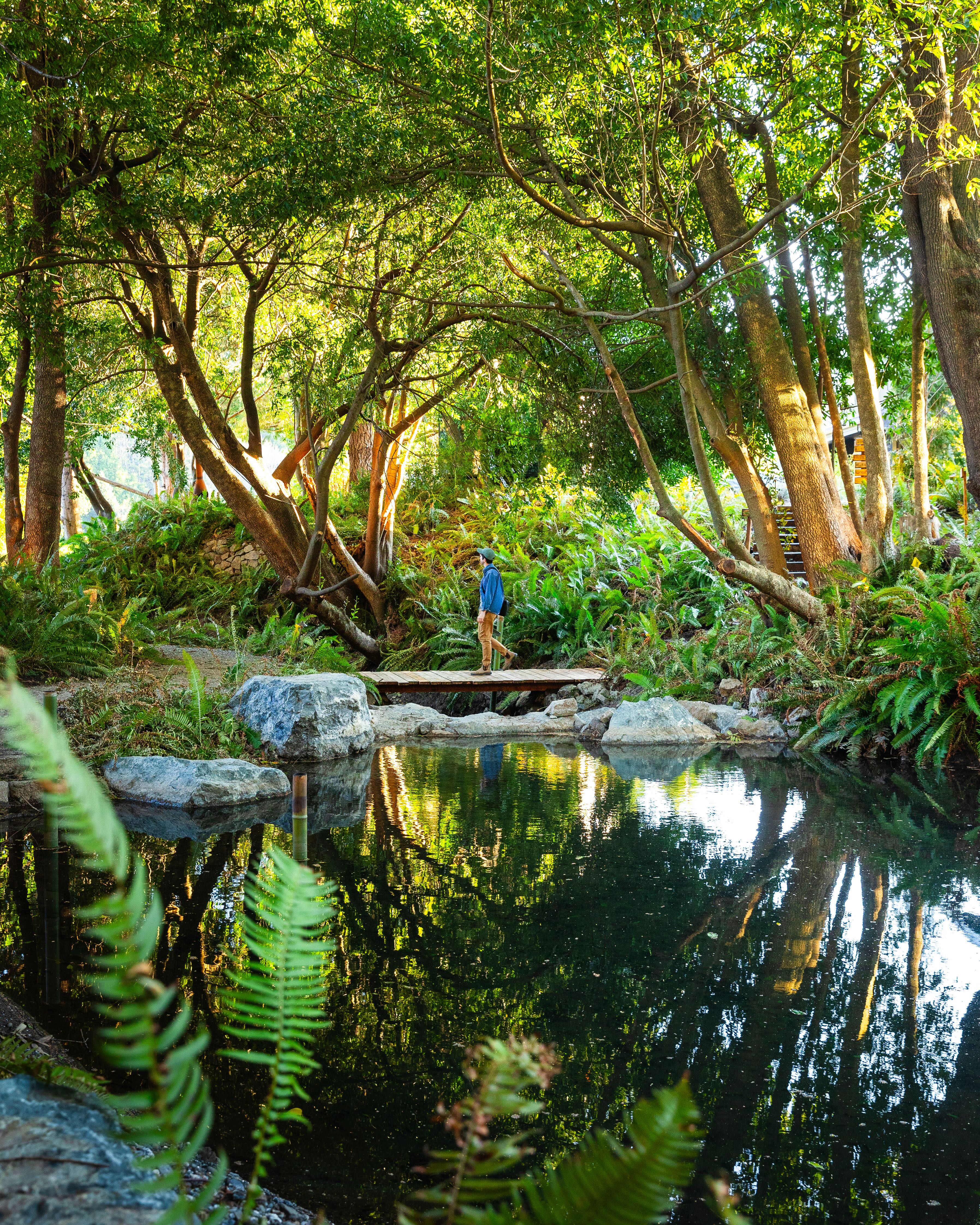 the-rehabilitated-creek-between-main-lodge-and-glass-cabins