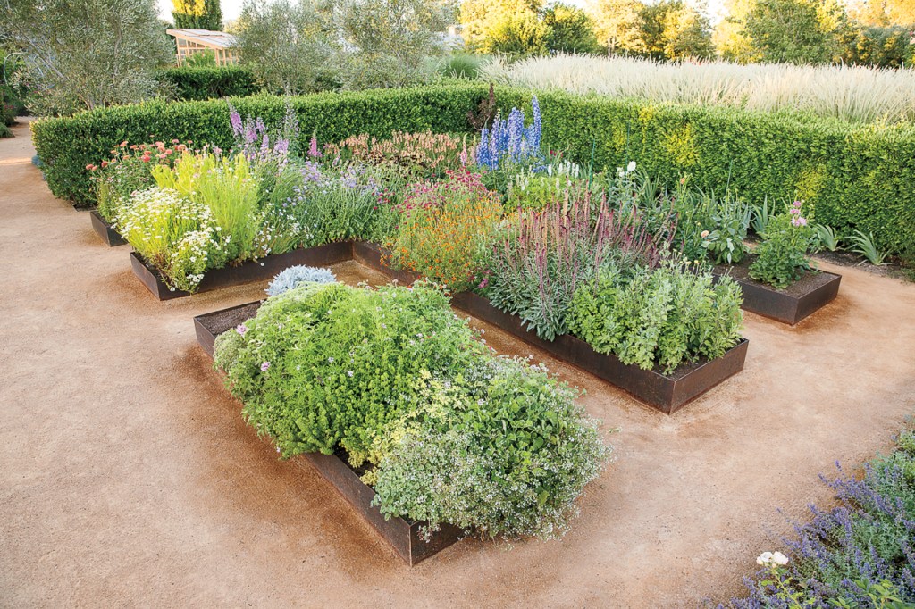 Here’s How to Help Your Garden Survive a Heatwave