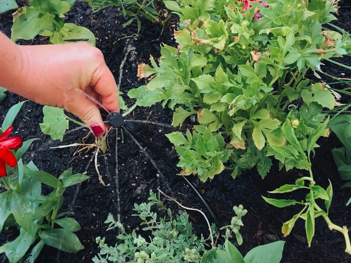 Irrigation Micro Spray