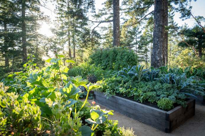 Raised Bed Solutions: Look at the Light