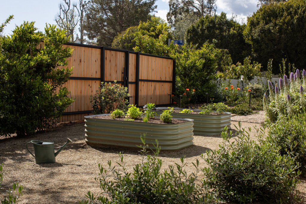 Raised Bed Wild Canyon Landscapes