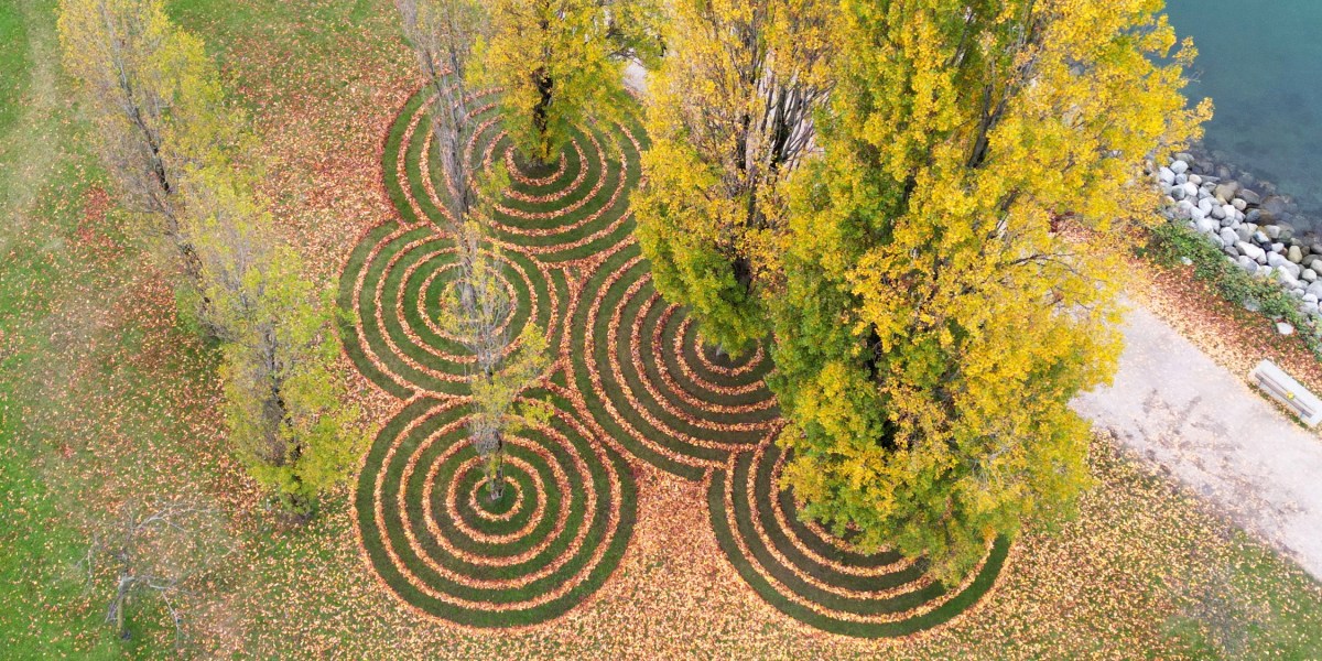 Rakemob Design Aerial