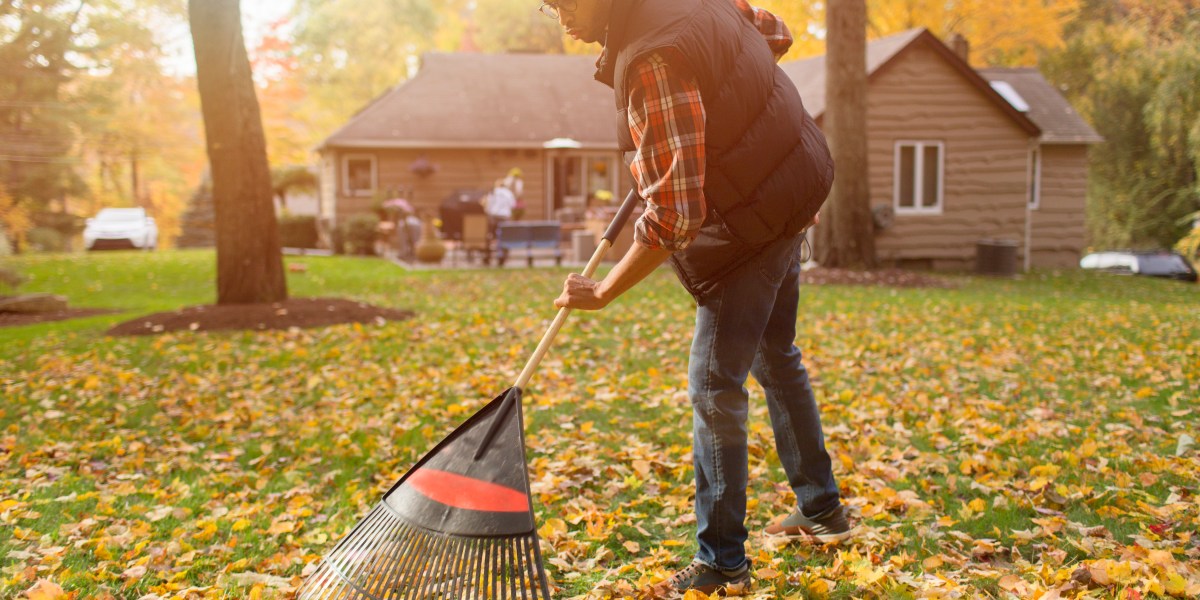 Follow This Fall Garden Cleanup Guide, Then Chill All Winter Long