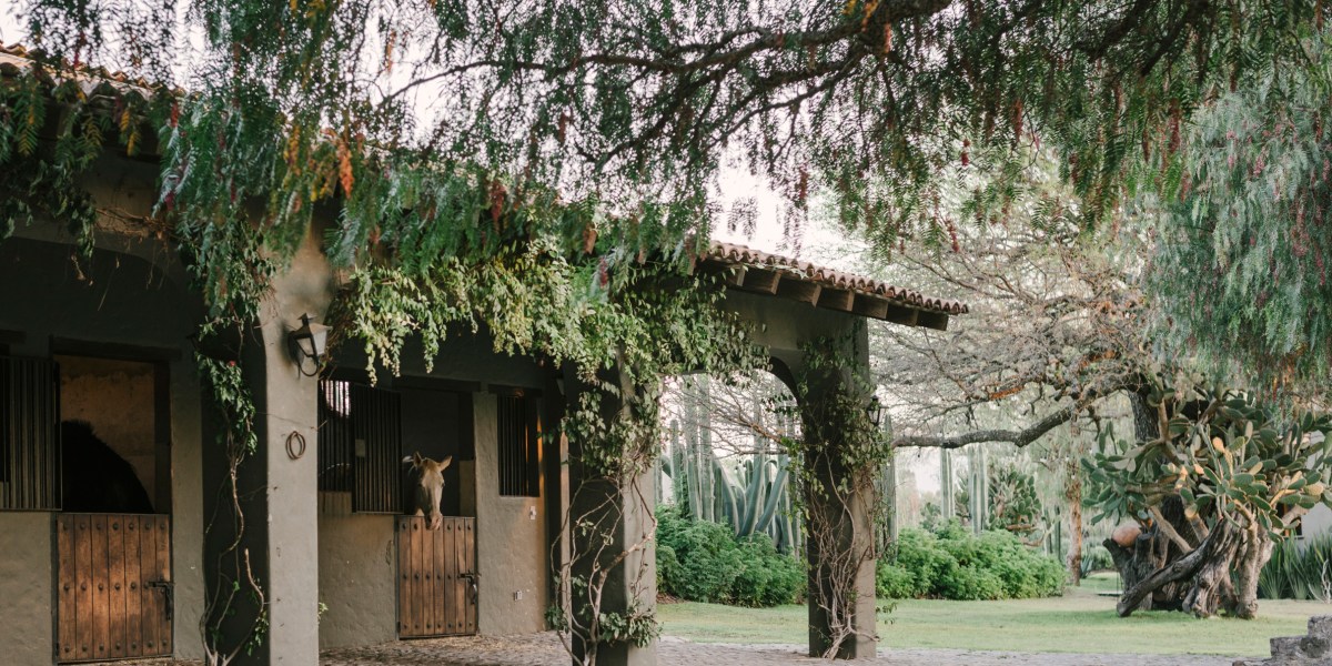 Rancho Sol Dorado Ivy Covered Building