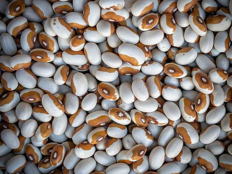 Heirloom Beans Become Coveted Pantry Staple as Coronavirus Spreads