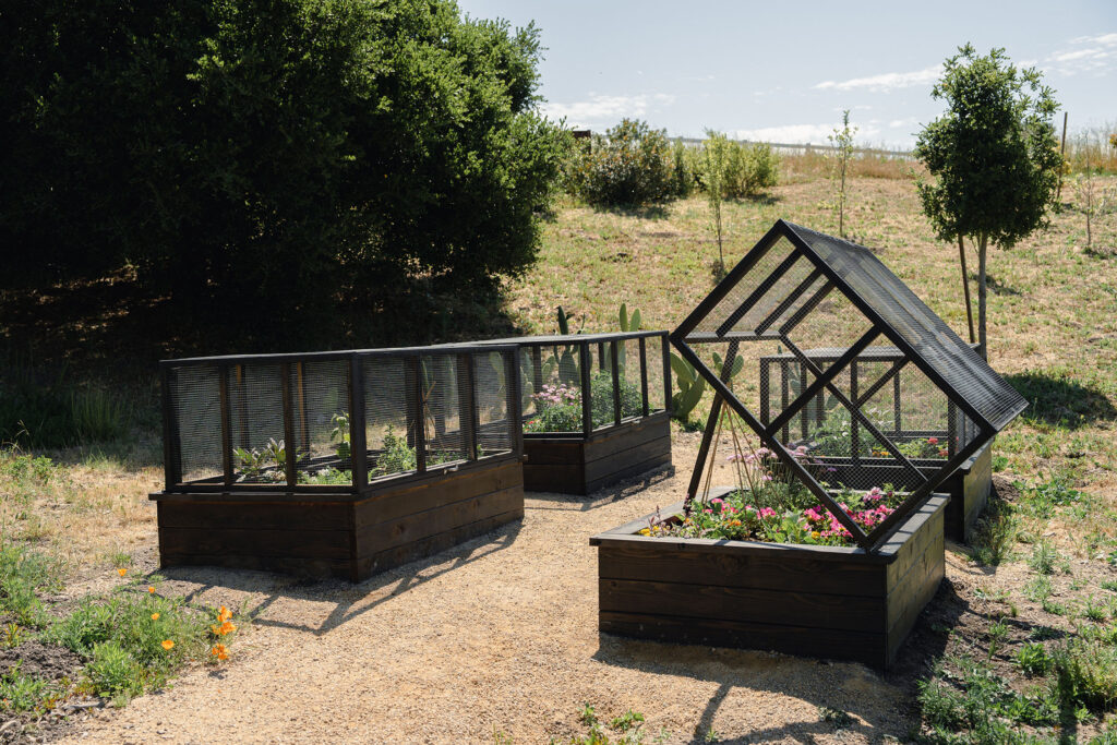 Ranchy McRanch Raised Beds Santa Ynez