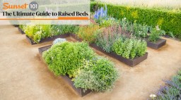 Raised Garden Beds