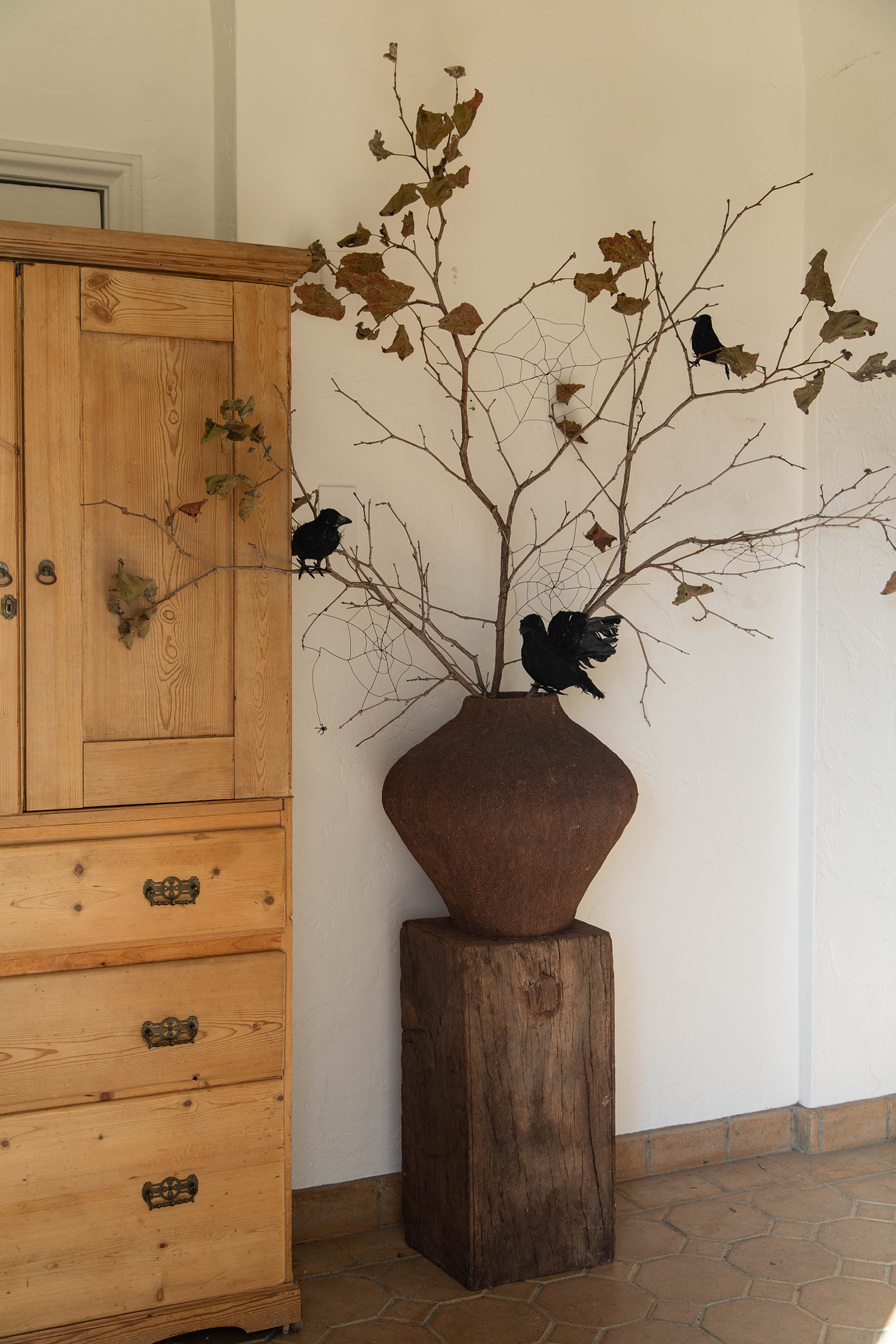 Raven Cobweb Plant by Lonefox/Drew Michael Scott