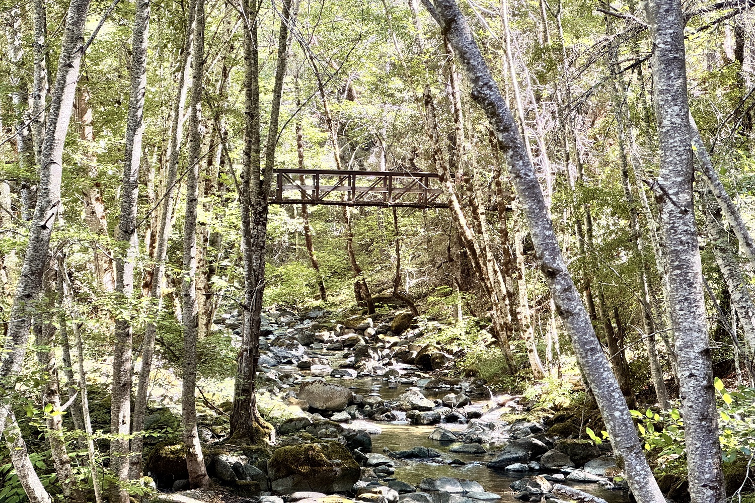 whiskey-creek-bridge