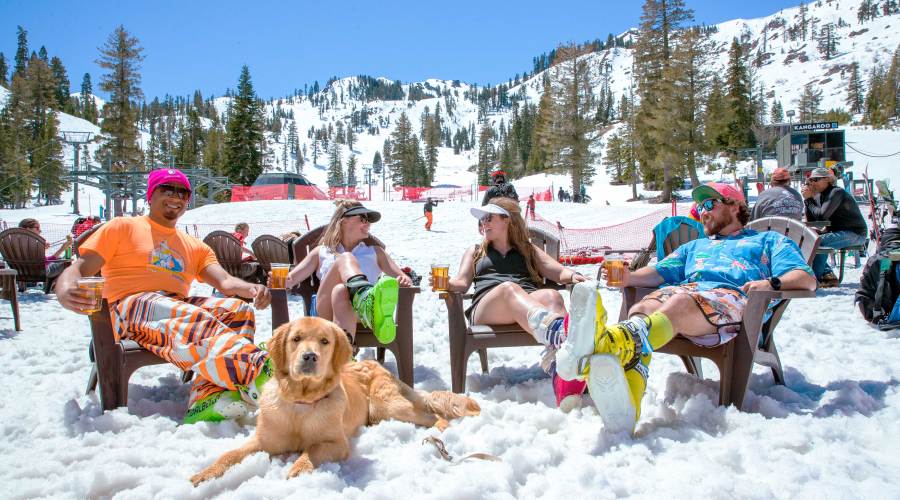 up-a-mountain-down-a-beer