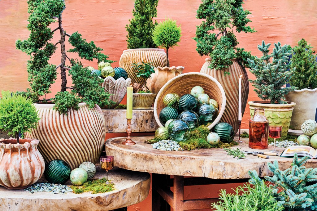 Forget the Christmas Tree, Here’s the Ultimate Guide to Holiday Decorating with Houseplants