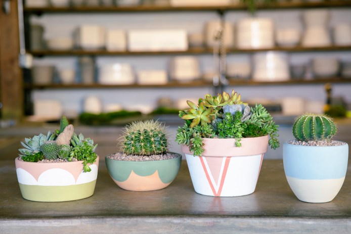 Painted Terra Cotta Pots from Rolling Greens