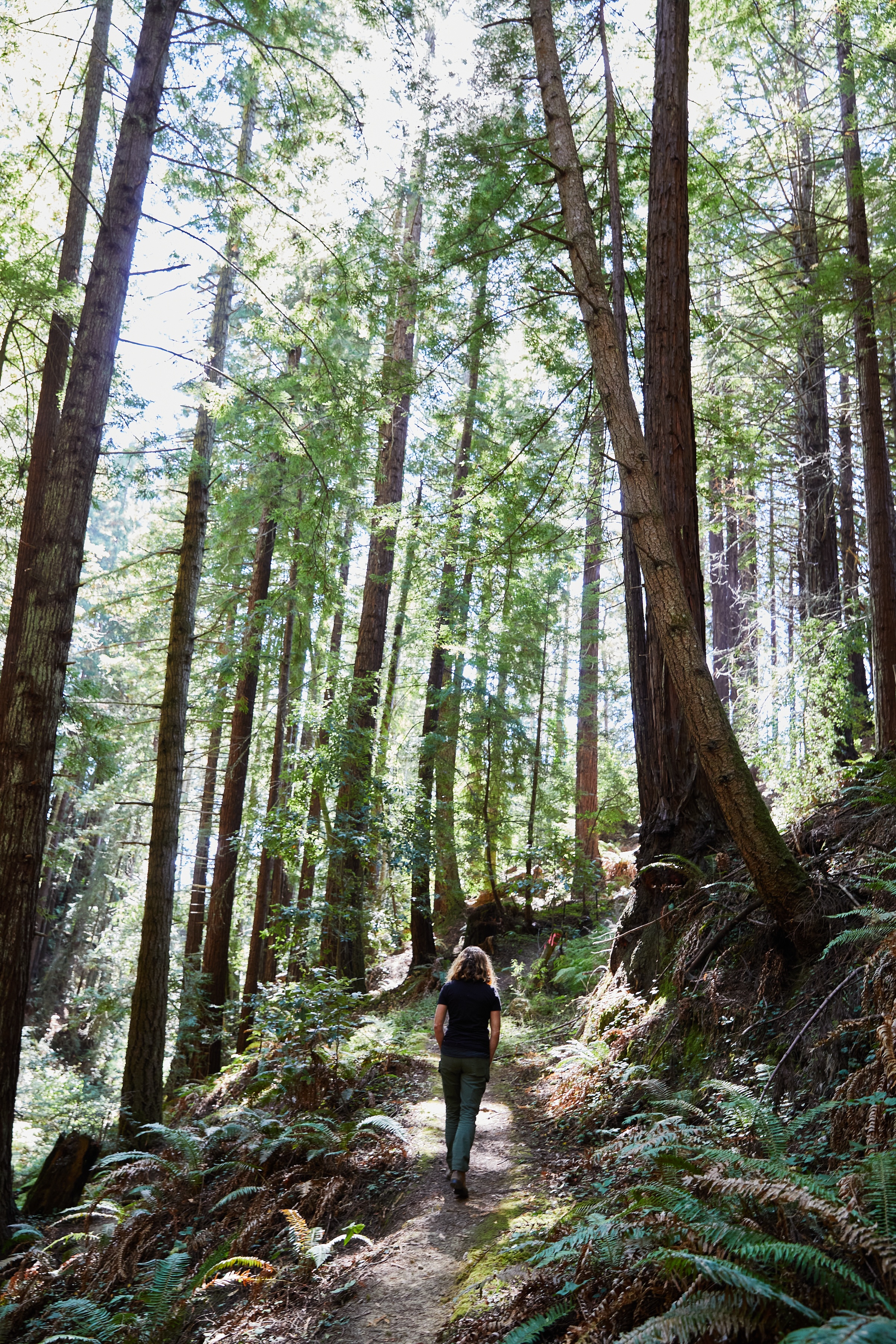creek-trail-on-property
