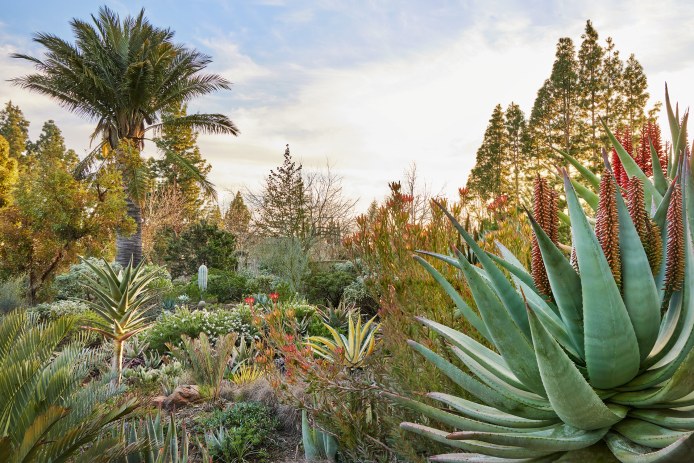 Ruth Bancroft Garden from Designing the Lush Dry Garden