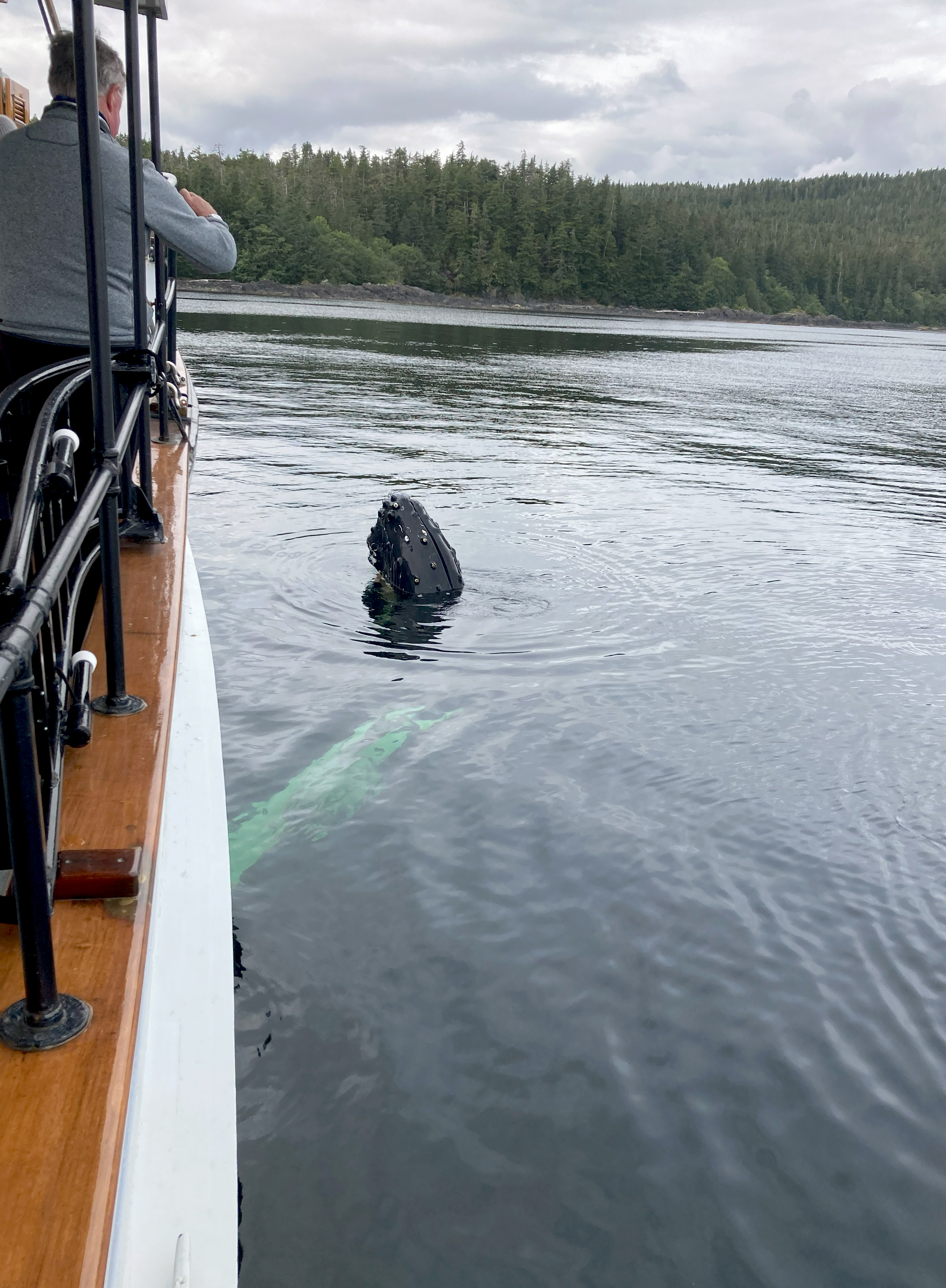 unforgettable-encounters-in-alaska-aboard-small-ships