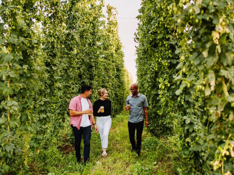 Yakima Valley, Washington