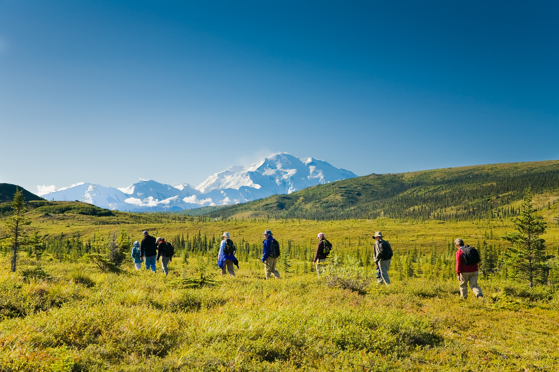 hiking-in-denali-national-park