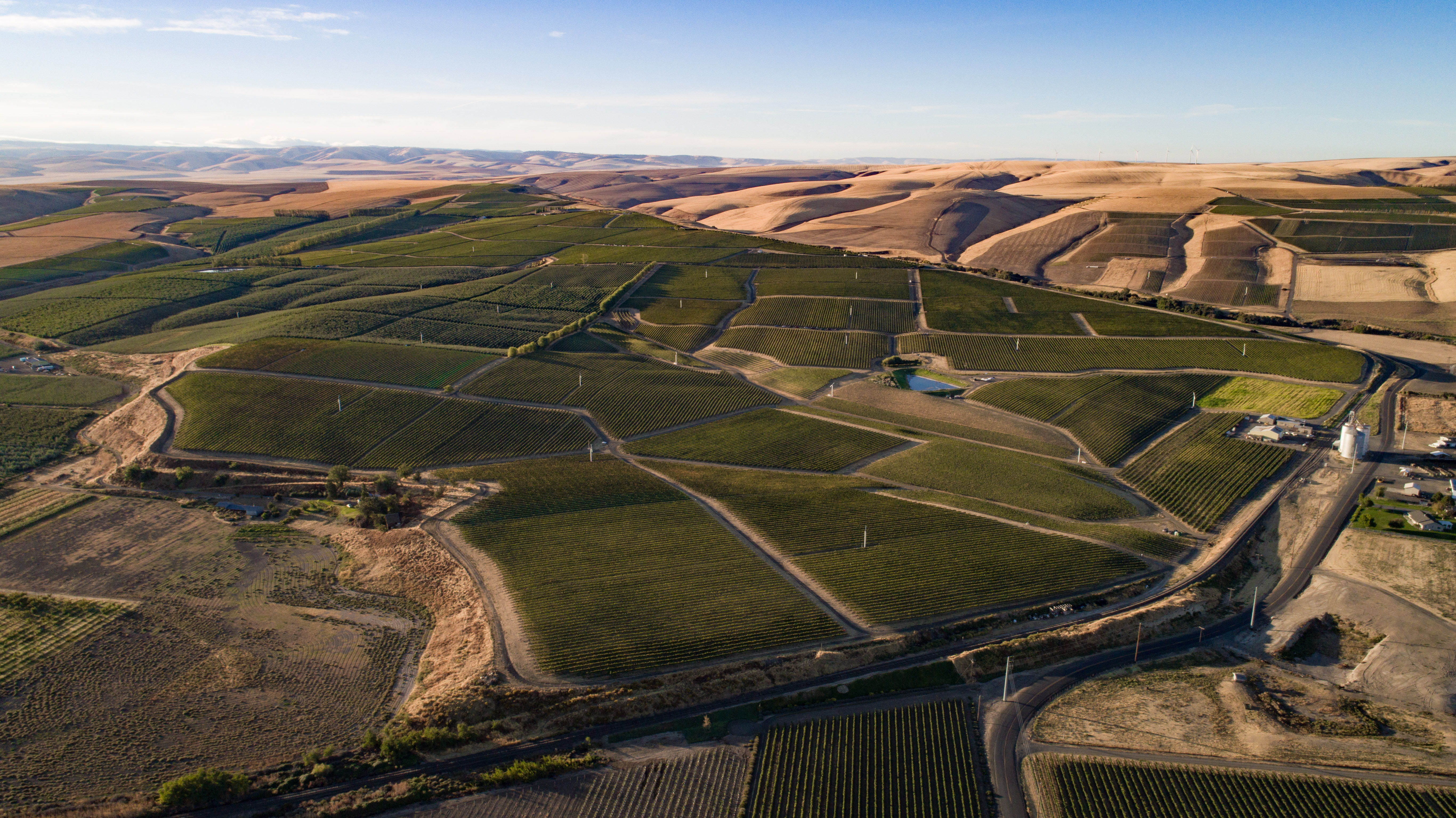 estate-ferguson-and-seven-hills-vineyards