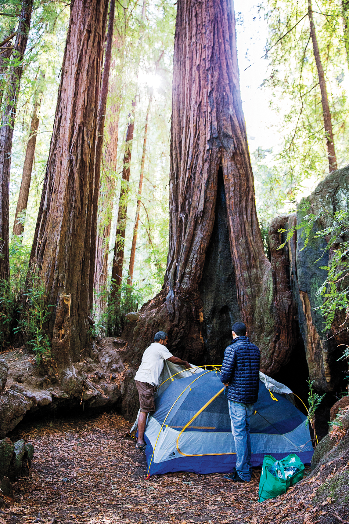 Samuel P Taylor State Park