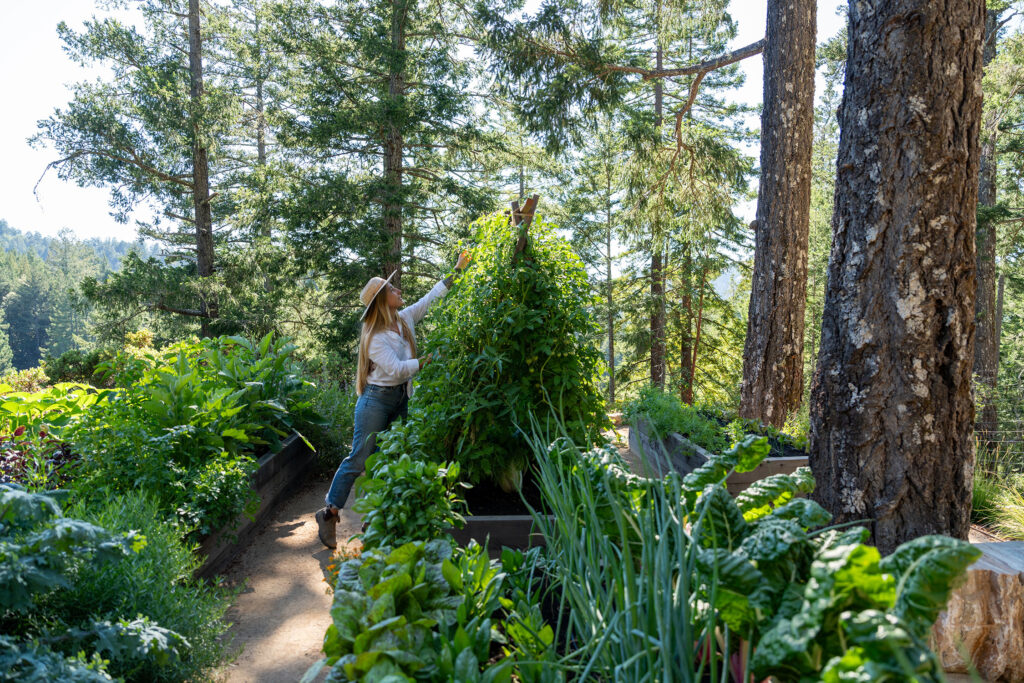 San Geronimo Greenhouse